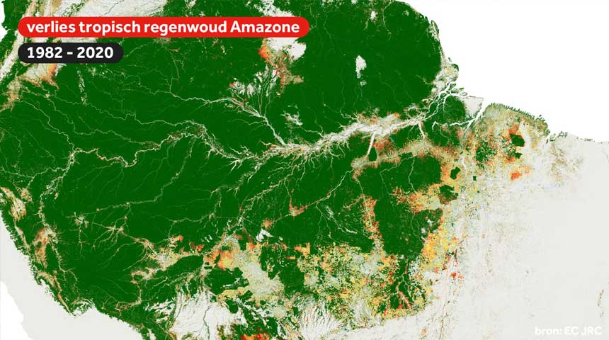ontbossing in het Amazonewoud tussen 1982 en 2020