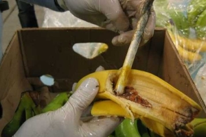 De partij is in Antwerpen in beslag genomen en had vermoedelijk ons land als bestemming. Foto ter illustratie.Ⓒ DOUANE ROTTERDAM