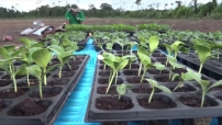 Embedded thumbnail for Suriname en China tekenen eerste landbouw technische samenwerkingsovereenkomst STVS JOURNAAL 221122