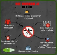 Chikungunya-uitbraak bevestigd in Suriname: volksgezondheidsautoriteiten waarschuwen bevolking