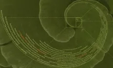 India en Suriname versterken samenwerking in traditionele geneeskunde