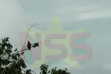 Warm, vochtig en buien in de middag 