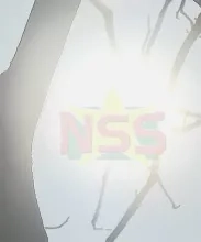 Vandaag voornamelijk zonnig