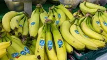 Amerikaanse bananengigant Chiquita ontslaat duizenden mensen 