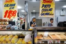 Brazilië hoopt binnen 28 dagen officieel vrij te zijn van vogelgriep