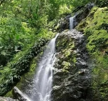 Aanpak illegale goudwinning Brownsberg grote uitdaging voor regering