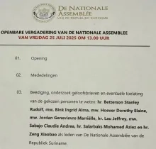 DNA vergadert vrijdag over toelating van acht nieuwe coalitieleden