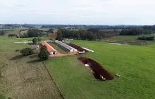 Brazilië vernietigt tonnen eieren na vogelgriepuitbraak
