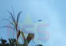 Overwegend bewolkt weer 