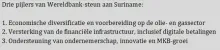 Wereldbank vergroot steun aan Suriname: focus op economie, mijnbouw en betaalinfrastructuur