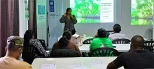 EU en UNDP starten mangroveproject in Nickerie: focus op bescherming