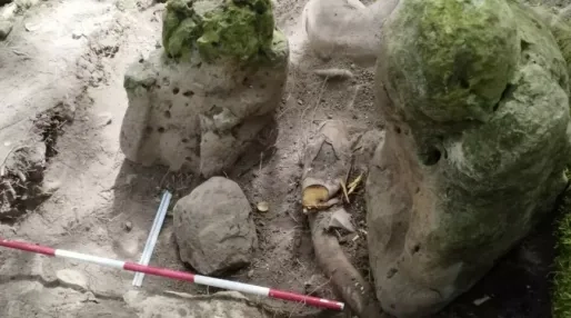 3000 jaar oude Mayastad ontdekt in Noord-Guatemala