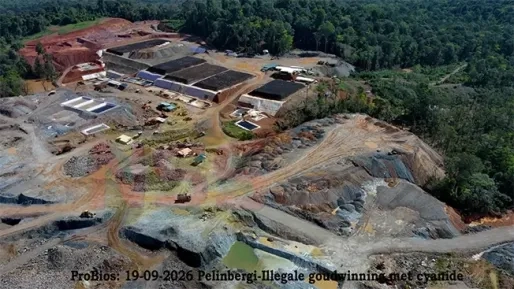 Gouddossier 11: RGM/ZiJin schat schade illegale goudwinning op US$ 138 miljoen