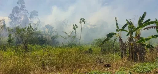 Rook van uitslaande bosbrand Commewijne bereikt Nieuw-Amsterdam, mogelijk ook Paramaribo