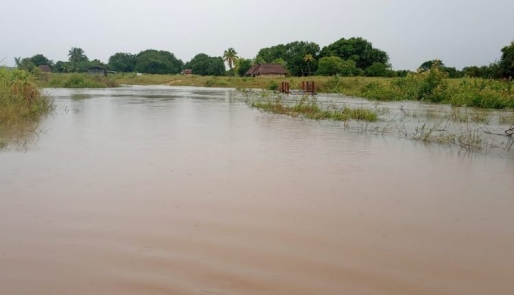 A flooded section of Aishalton, Deep South Rupununi, Region Nine (Photo: Michael Thomas) A flooded section of Aishalton, Deep South Rupununi, Region Nine (Photo: Michael Thomas)