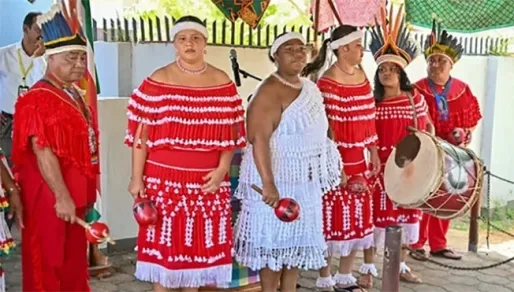 Officiële erkenning inheemse volken als wet ingediend bij DNA