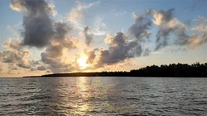 Wisselvallig weer met kans op verspreide buien 