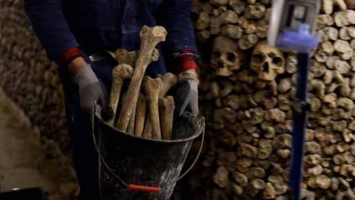 Duitse familie vindt meer dan duizend menselijke botten in macabere tuin