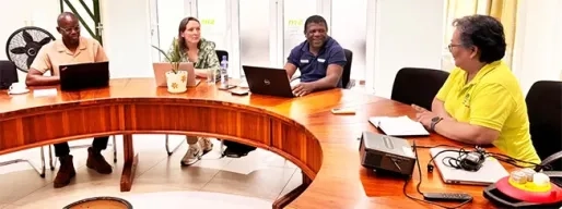 Rode Kruis activeert landelijke aanpak tegen Chikungunya