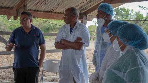 LVV wil met trainingen afhankelijkheid van import in pluimveesector verminderen