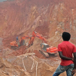 goudkoorts suriname