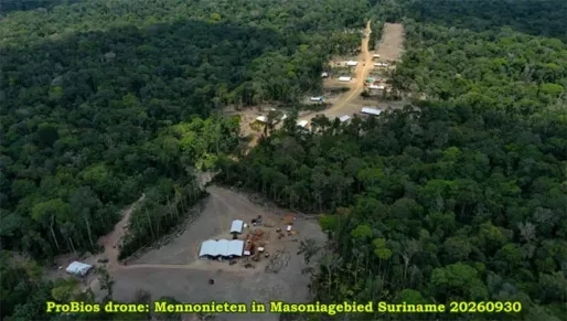Politie stelt ultimatum ontruiming Masonia, waar Mennonieten buiten concessiegebied verblijven
