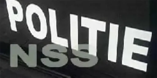 Braziliaanse bijen vallen echtpaar aan in weiland