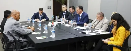 Suriname krijgt hulp van Brazilië om cassaveziekte tegen te gaan