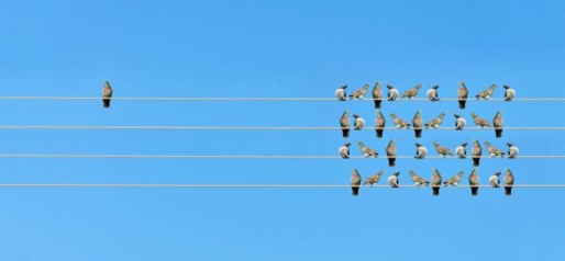Heel slimme mensen worden juist ongelukkig van vrienden © credits onbekend Heel slimme mensen worden juist ongelukkig van vrienden © credits onbekend