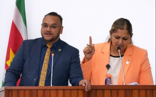 DNA-leden vragen opheldering aan president over dwangsombetaling aan Baitali