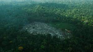 Luchtfoto van een ontbost gebied in de Amazone.Beeld REUTERS Luchtfoto van een ontbost gebied in de Amazone.Beeld REUTERS