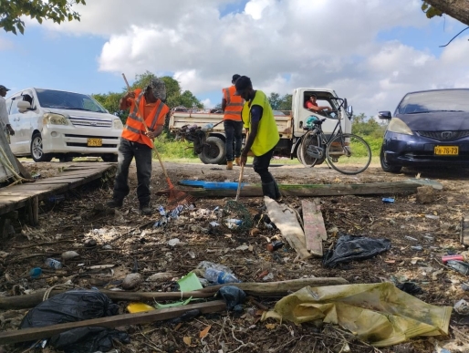 Bermen langs de Van Idsingaweg te ressort West
