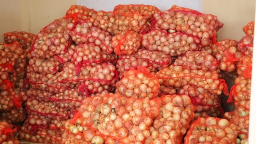 Guyana wil uienteelt fors uitbreiden na succesvolle oogst van 2600 zakken