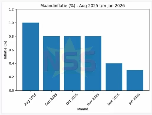 Inflatie in januari licht gestegen; jaarinflatie op 11%