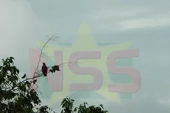 Bewolkt, zonnige perioden en buien