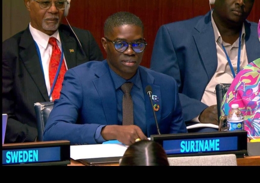 Suriname participeert in 59ste sessie VN Commissie voor Bevolking en Ontwikkeling