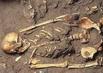 Skelet aangetroffen langs zijweg van Javaweg in Lelydorp