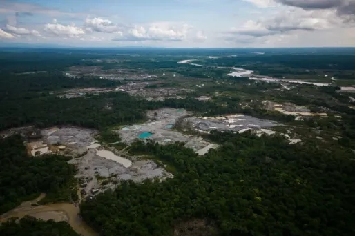 Grote internationale operatie tegen milieumisdrijven in Amazoneregio