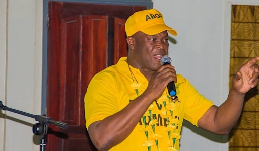 Brunswijk en zijn grote woorden: wanneer volgen de daden?