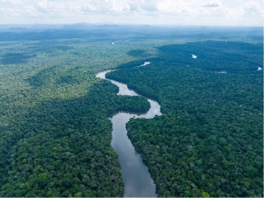 Guyana verdient meer dan US$353 miljoen aan carbon credits sinds 2022