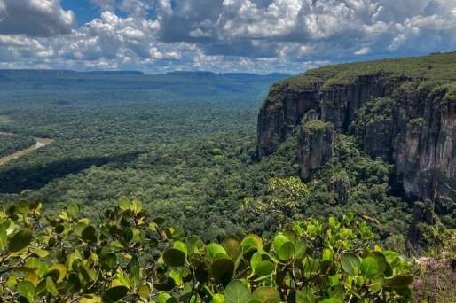 Colombia verbiedt nieuwe mijnbouwconcessies in Amazonegebied via resolutie