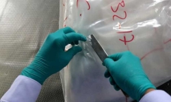 Archieffoto.Ⓒ REUTERS Archieffoto.Ⓒ REUTERS