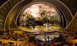 © ANP De uitreiking van de Oscars vond vannacht plaats. © ANP De uitreiking van de Oscars vond vannacht plaats.