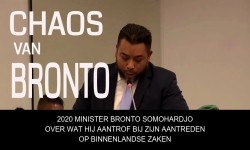 Embedded thumbnail for De chaos van Bronto